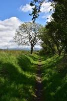 trilha de terra através da zona rural do norte da inglaterra foto