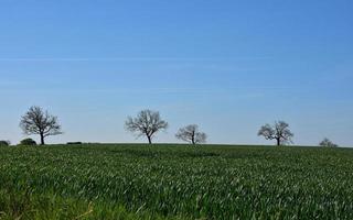 terras agrícolas, campos e terras agrícolas com céu azul na Inglaterra foto