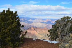 uma vista do grand canyon através das árvores foto