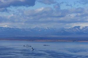 baía de avacha com navios de guerra e um submarino. kamchatka foto