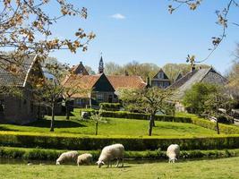 a cidade holandesa enkhuizen foto