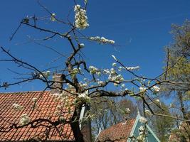 a cidade holandesa de enkhuizen foto