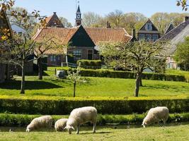 a cidade holandesa enkhuizen foto