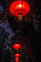 lanternas chinesas no parque lazienki