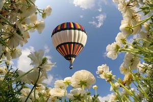 grande balão sobrevoa o campo de floração
