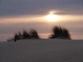 a ilha de borkum foto