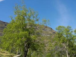 flam na noruega foto