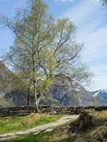 flam na noruega foto