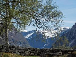 flam na noruega foto