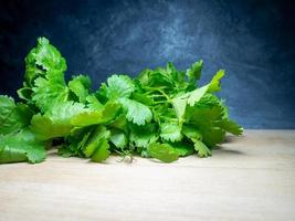 um monte de coentro em uma tábua de corte. produto útil. verdes na mesa da cozinha. ingrediente de almoço vegetariano. muitos talos de coentro. foto