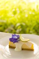 um pedaço de torta de queijo de limão deliciosa na chapa branca com fundo verde do jardim. foto