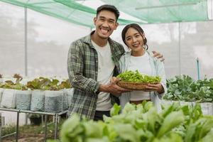 agricultores de casal asiático trabalhando na fazenda hidropônica de legumes com felicidade. dois agricultores asiáticos trabalhando na fazenda de vegetais. foto