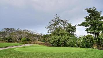 uma vista paisagem grama verde no campo de golfe, grandes árvores com fundo de céu de luz solar foto