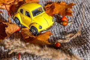 fundo outonal. carro de brinquedo amarelo e folhas secas de bordo de outono laranja no suéter de malha cinza. espaço de cópia de banner de ação de graças. conceito de entrega de clima frio de humor hygge. Olá viagens de outono. foto