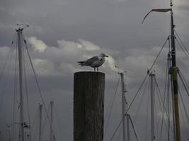 a ilha spiekeroog no mar do norte foto