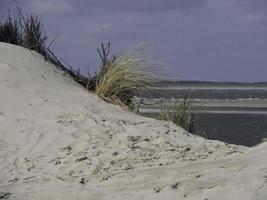 praia e dunas na ilha spiekeroog foto