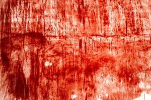 fundo vermelho, parede sangrenta assustadora. parede branca com respingos de sangue para fundo de halloween. foto
