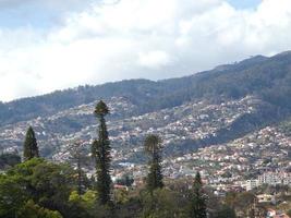 funchal e a ilha da madeira foto