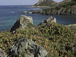 ilha da córsega no mar mediterrâneo foto