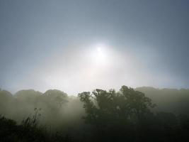 floresta tropical na névoa da manhã, bela paisagem natural para papel de parede foto