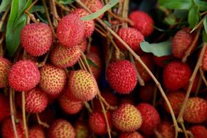 lichias frutas frescas muitos deles são vendidos para venda no mercado. foto