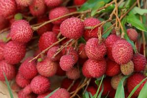 lichias frutas frescas muitos deles são vendidos para venda no mercado. foto