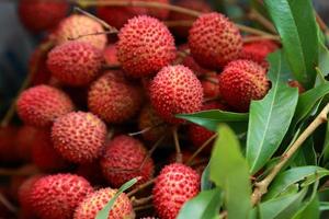 lichias frutas frescas muitos deles são vendidos para venda no mercado. foto