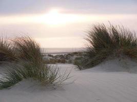 ilha de borkum na alemanha foto