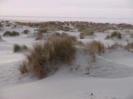 ilha de borkum na alemanha foto