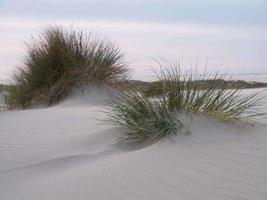 ilha de borkum na alemanha foto