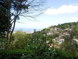 funchal e a ilha da madeira foto