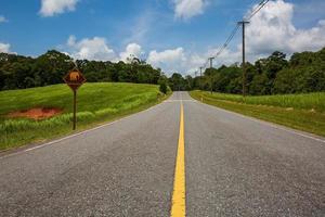 sinal de trânsito de elefante de estrada foto