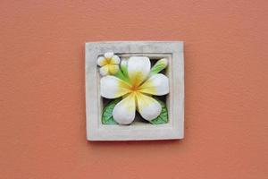 parede de cimento com flor de frangipani foto