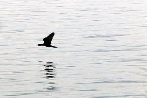 Lake Kinneret é um lago de água doce no nordeste de Israel. foto