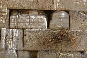 notas no muro das lamentações em jerusalém com seus pedidos e desejos dirigidos a deus. foto