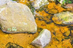 pequeno rio de cachoeira e córrego na montanha brocken harz alemanha. foto