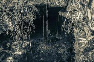 guia turístico azul turquesa água calcário caverna sinkhole cenote mexico. foto