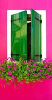 janela de tinta de madeira verde em burano com cor rosa brilhante foto