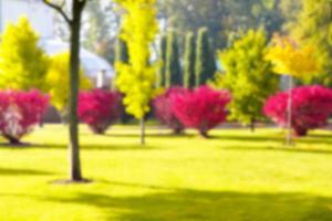 árvores coloridas no parque, fundo desfocado, conceito de férias de férias, espaço de cópia foto