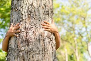homem asiático dando um abraço no grande abraço de árvore de teca. árvore de amor e conceito de natureza ou ambiente foto
