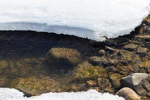 natureza da ucrânia ocidental. montanhas, rios e florestas. abrigo para refugiados de guerra. saída dos territórios ocupados. guerra na ucrânia. foto