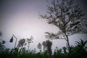 ponto de vista da cena do nascer do sol em phu chi phor, distrito de khun yuam, província de maehongson, tailândia foto