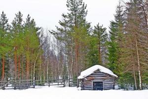 uma pequena cabana com cobertura de neve no telhado na floresta foto