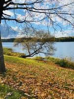 paisagem de outono com árvores, floresta e lago foto