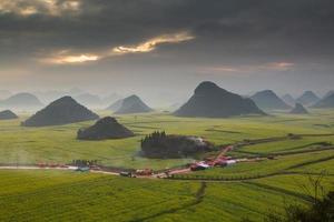 campo de flores de colza amarela com a névoa em luoping, china foto