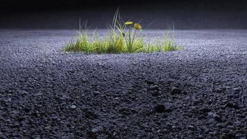 o tema da ecologia, a planta cresce no asfalto renderização 3d foto
