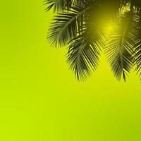 silhuetas de palmeiras isoladas em um fundo verde, vetor ou ilustração com conceito de verão foto