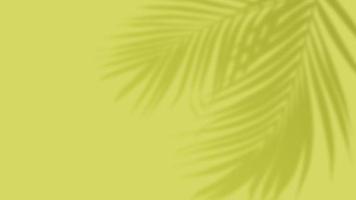 palmeira tropical deixa sobreposição de sombra sobre fundo verde. modelo de verão de banner de mídia social foto