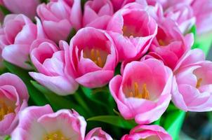 buquê de flores de tulipas com tulipas cor de rosa em papel verde foto