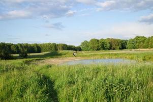 cegonha voando sobre um prado e uma lagoa. grande pássaro que vem para a Alemanha na primavera foto